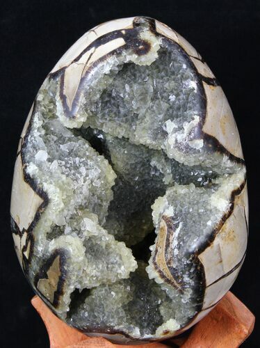 Septarian Dragon Egg Geode With Calcite Crystals #33497